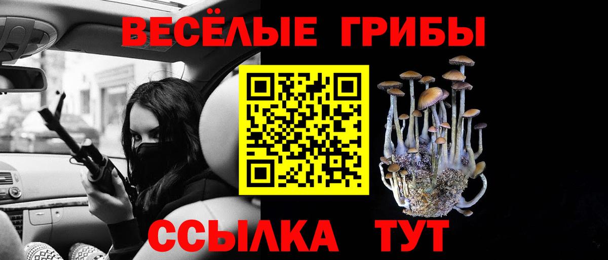 Канаш  Галлюциногенные грибы Cubensis  где найти   Вход с VPN 